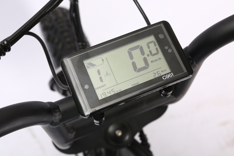 Electric Bike LCD display