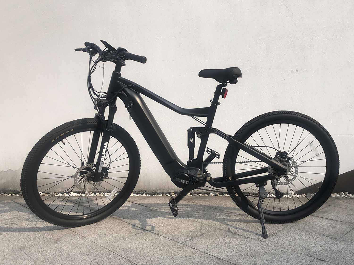 Electric hybrid bike