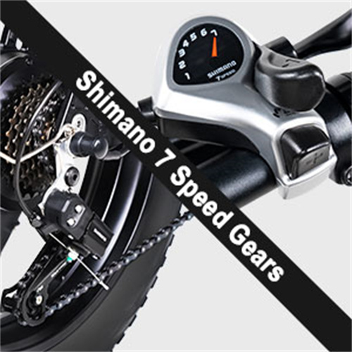 Shimano 7 Speed Gears